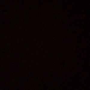 Meet your Posher, Samuel